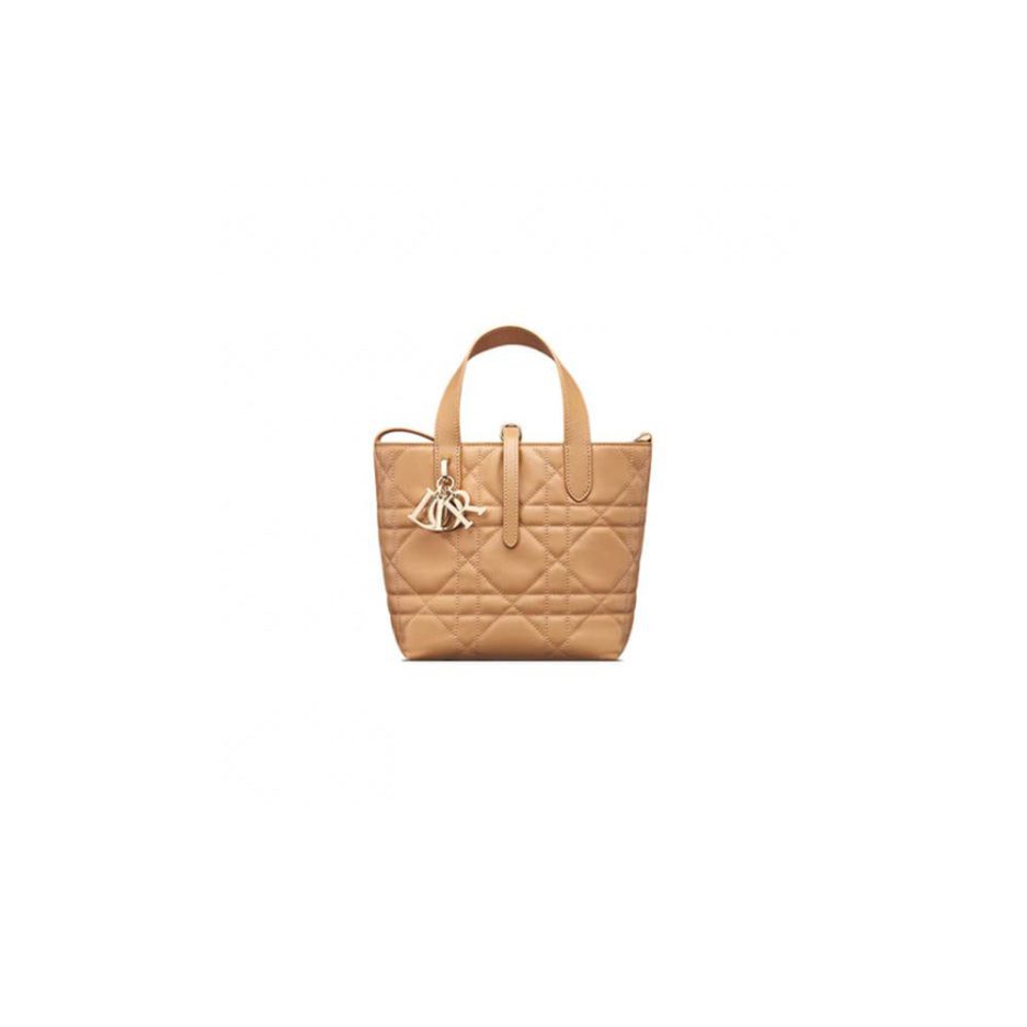 Small Dior Toujours Vertical Tote Bag