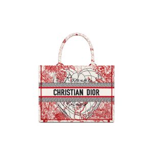 SMALL DIOR BOOK TOTE