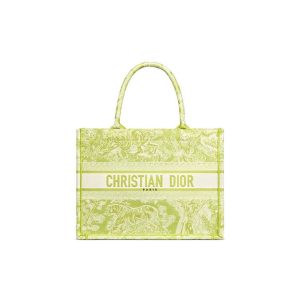 SMALL DIOR BOOK TOTE