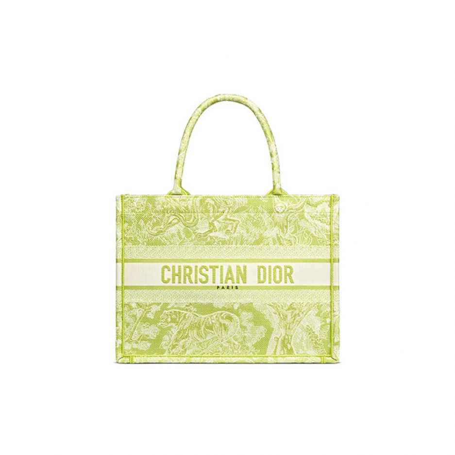 SMALL DIOR BOOK TOTE
