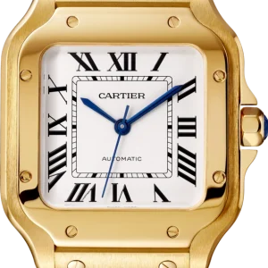 CARTIER santos 18kt Yellow Gold Men's WatchItem -WGSA0007(AAAAA)