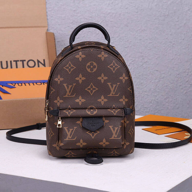 LV Palm Springs Mini Backpack - 图片 2