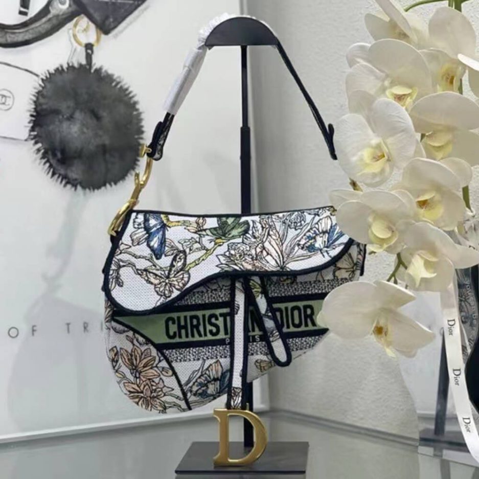 DIOR SADDLE BAG - 图片 2