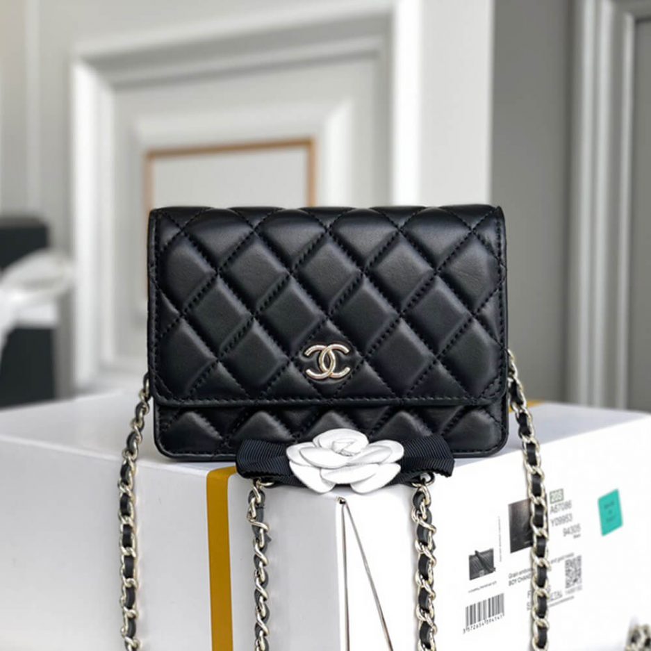 Chanel MINI WALLET ON CHAIN - 图片 2