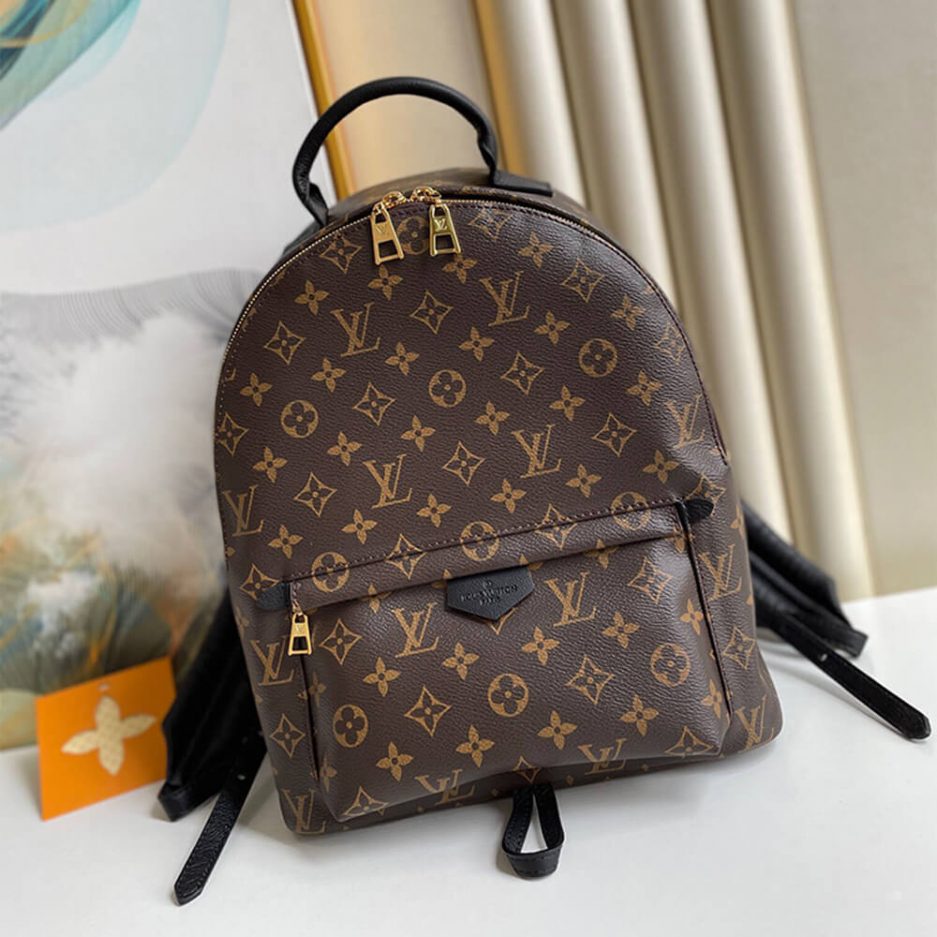 Louis Vuitton PALM SPRINGS MM - 图片 2