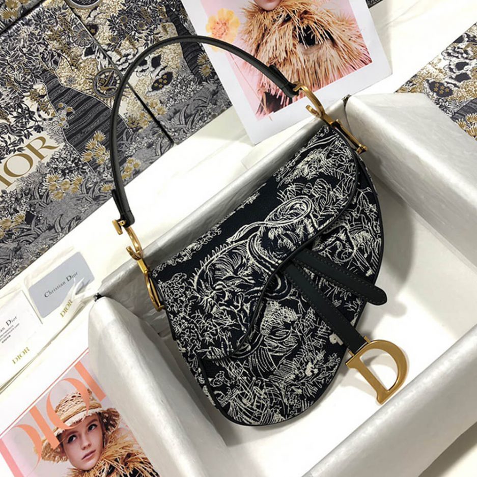 Dior SADDLE BAG - 图片 2
