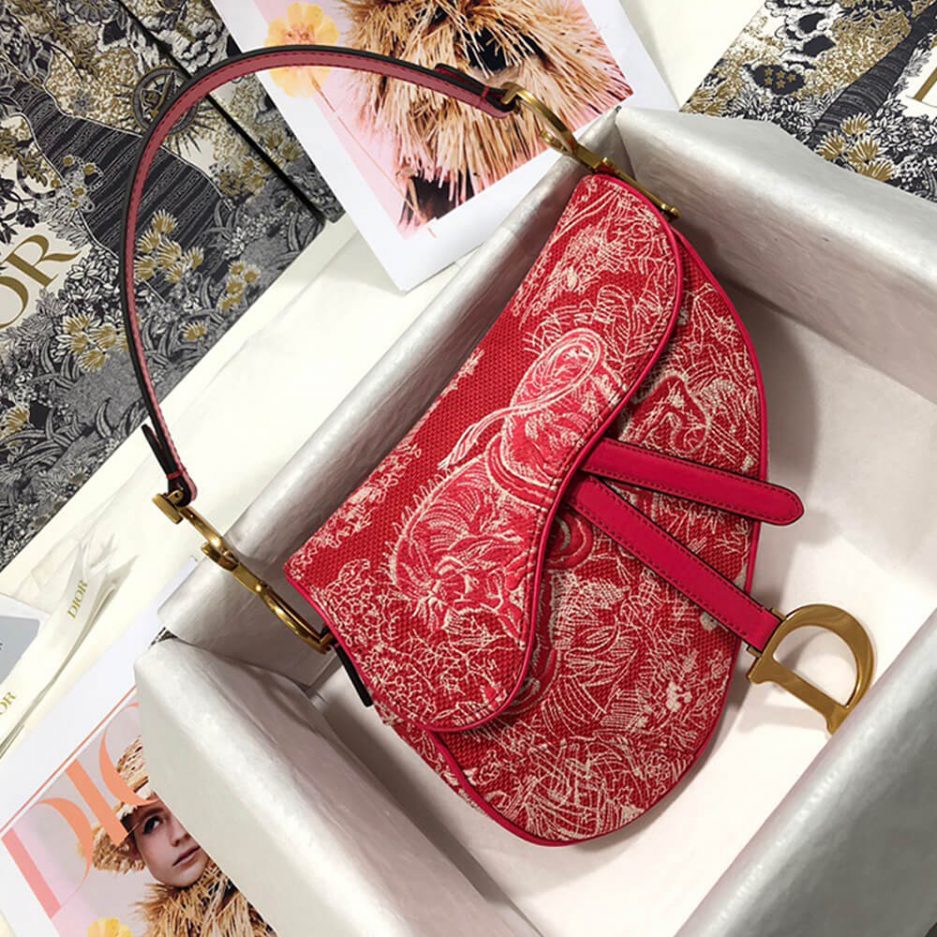 Dior SADDLE BAG - 图片 2