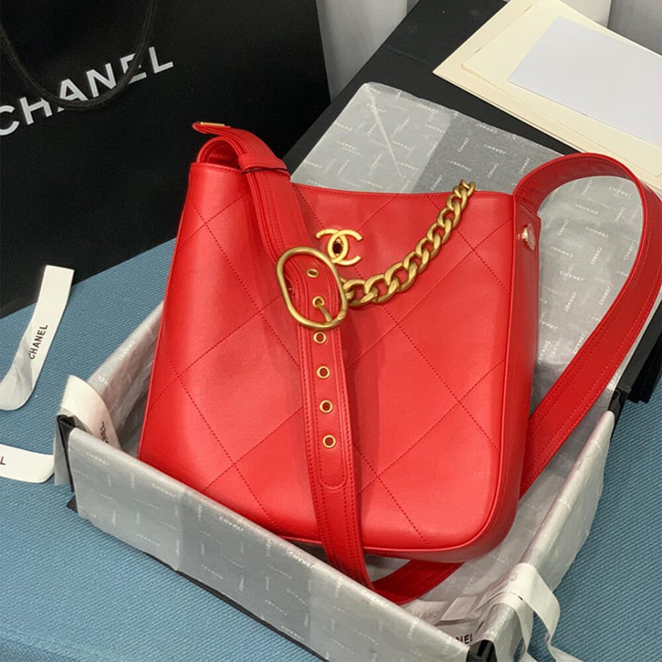 CHANEL HOBO HANDBAG - 图片 2