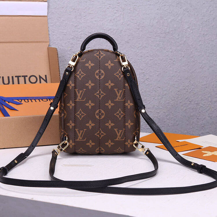 LV Palm Springs Mini Backpack - 图片 3