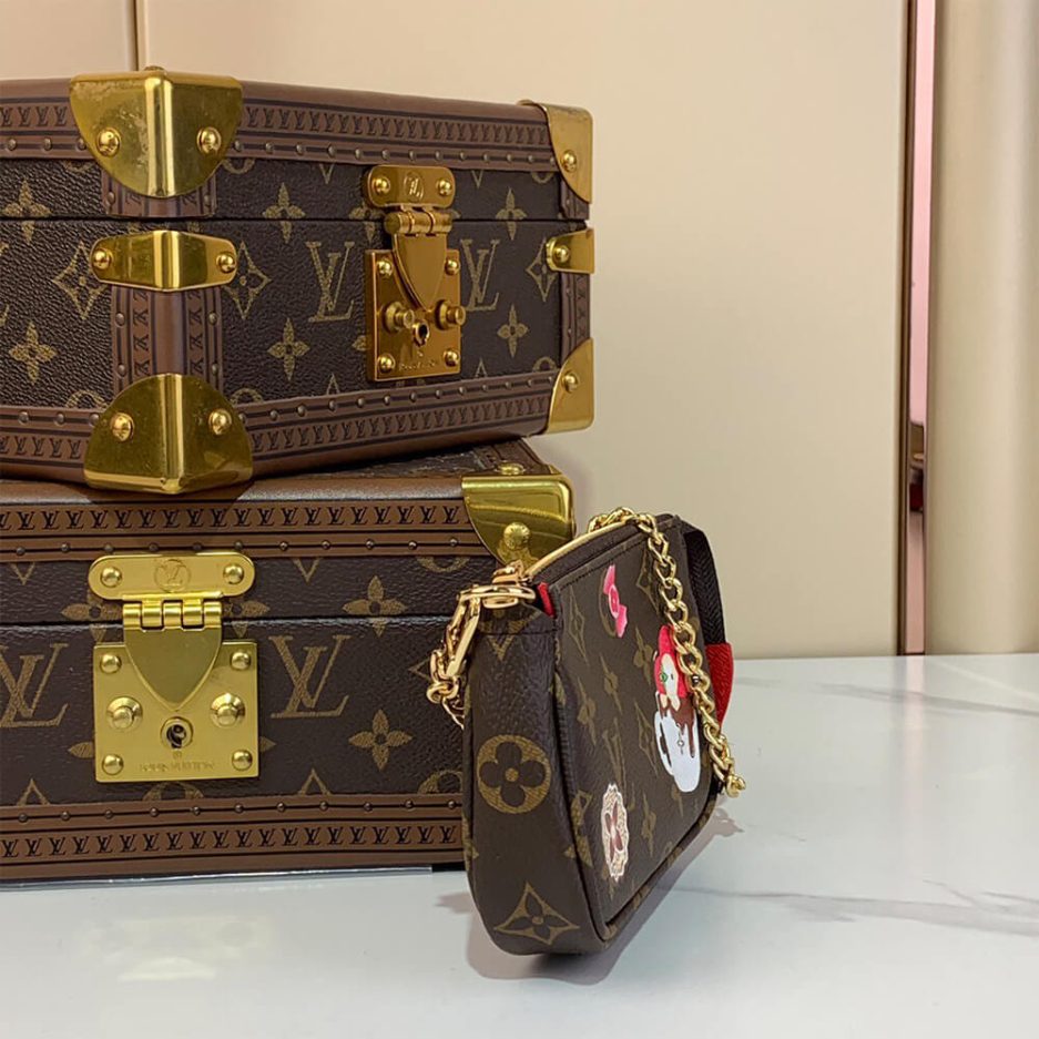 LV Mini Pochette Accessoires - 图片 3