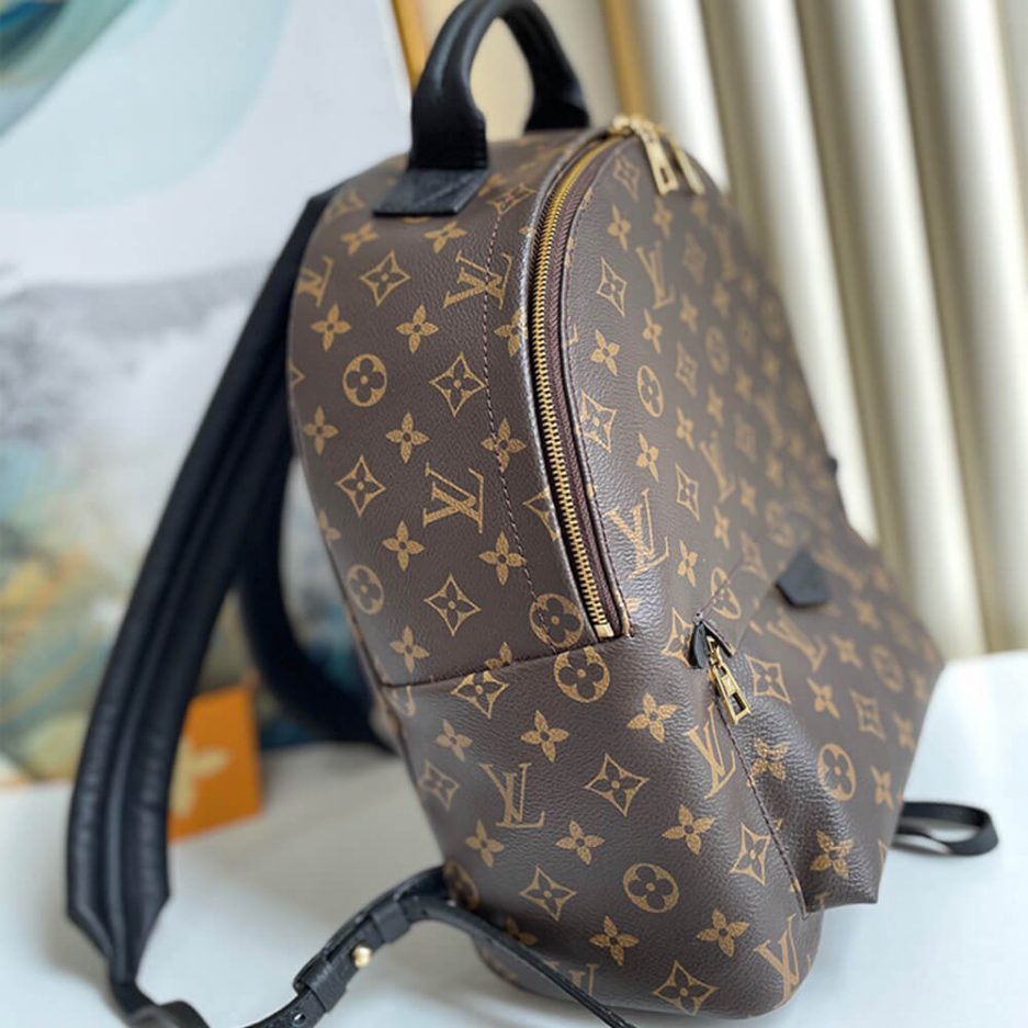 Louis Vuitton PALM SPRINGS MM - 图片 3