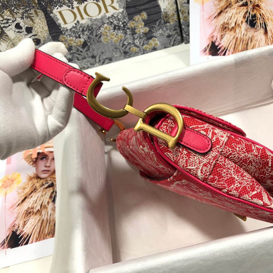 Dior SADDLE BAG - 图片 3