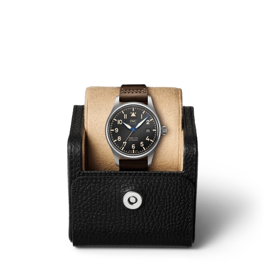 IWC pilot series IW327006 watch - 图片 16