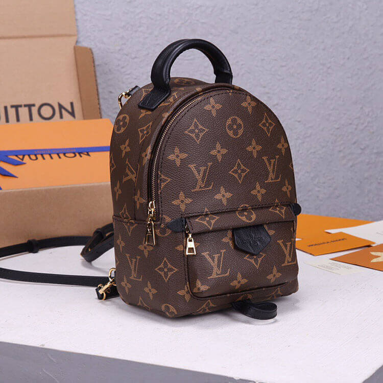 LV Palm Springs Mini Backpack - 图片 4