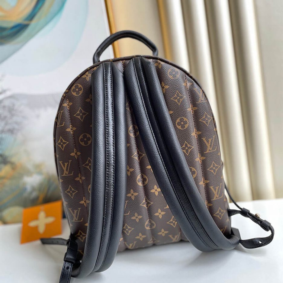 Louis Vuitton PALM SPRINGS MM - 图片 4
