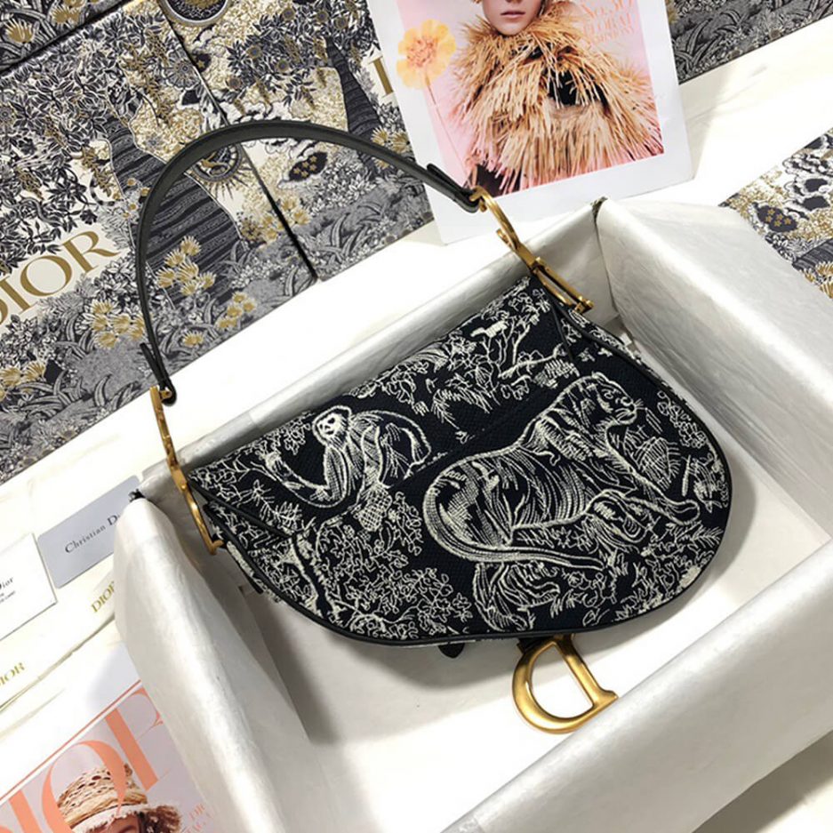 Dior SADDLE BAG - 图片 4