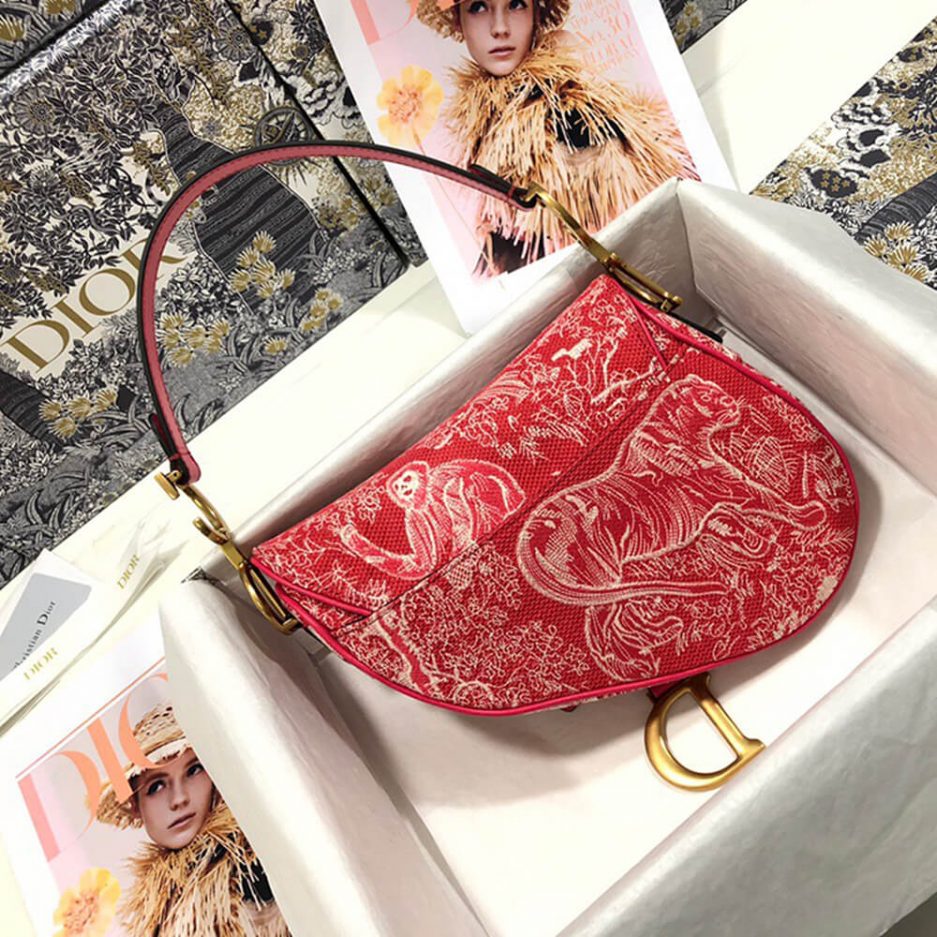 Dior SADDLE BAG - 图片 4