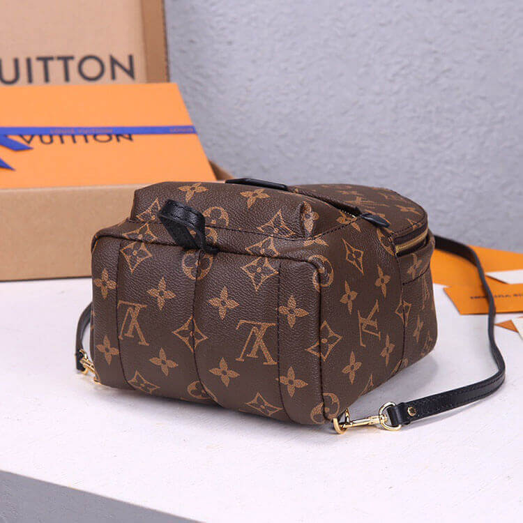 LV Palm Springs Mini Backpack - 图片 5
