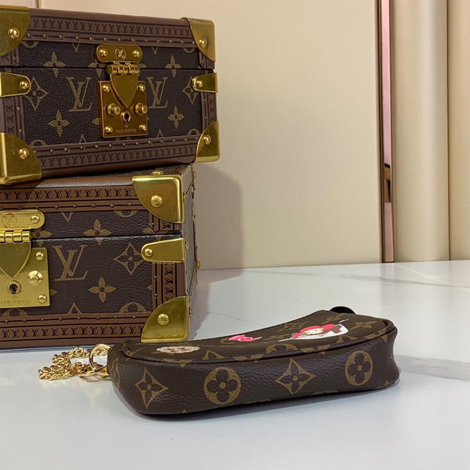 LV Mini Pochette Accessoires - 图片 5