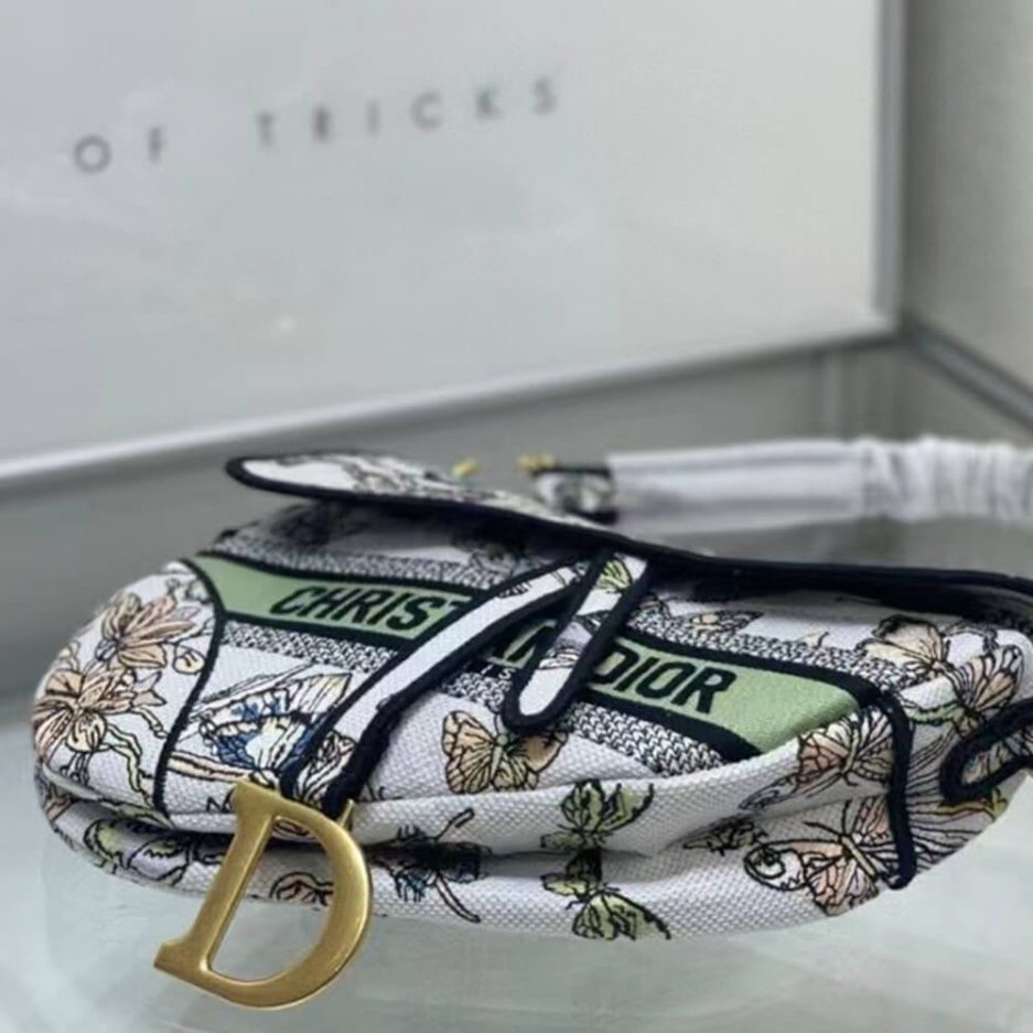 DIOR SADDLE BAG - 图片 5