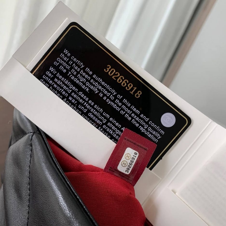 CHANEL 19 Large Handbag - 图片 5