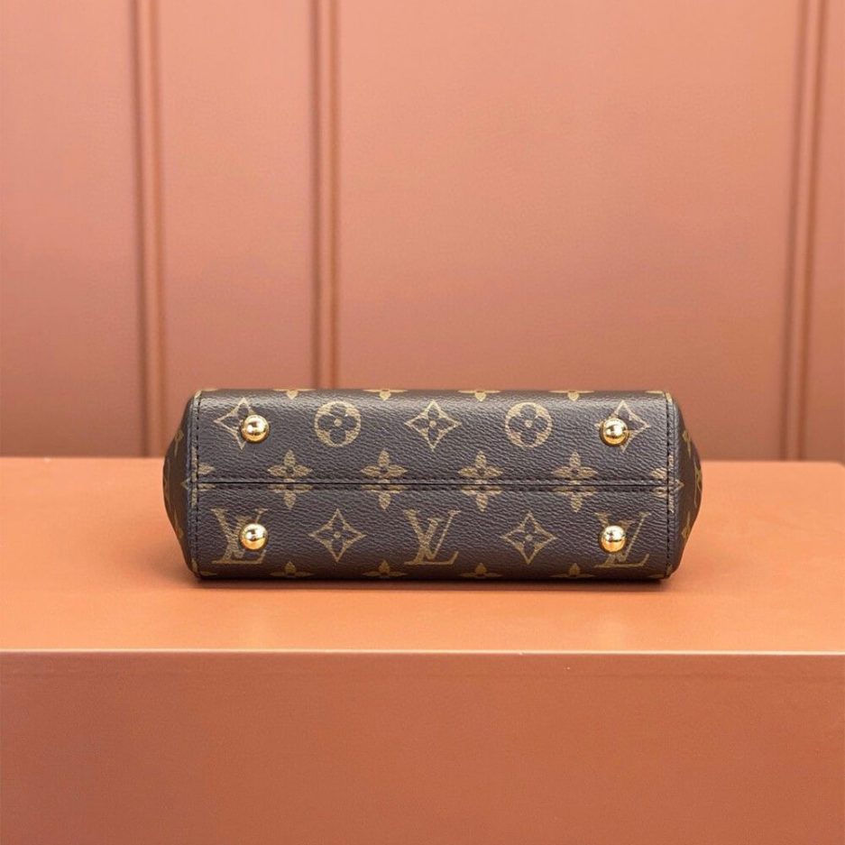 LV Cluny Mini - 图片 5