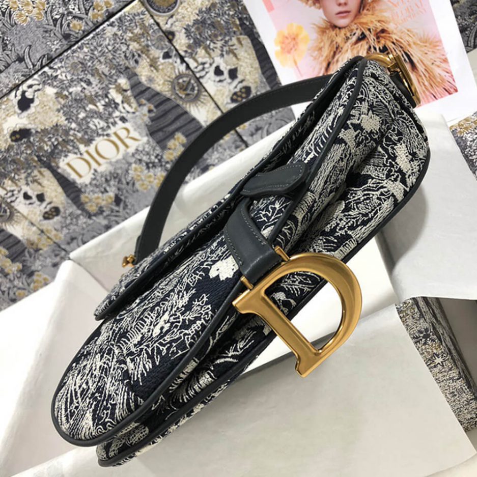 Dior SADDLE BAG - 图片 5