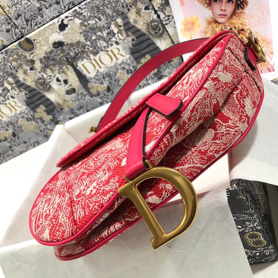 Dior SADDLE BAG - 图片 5