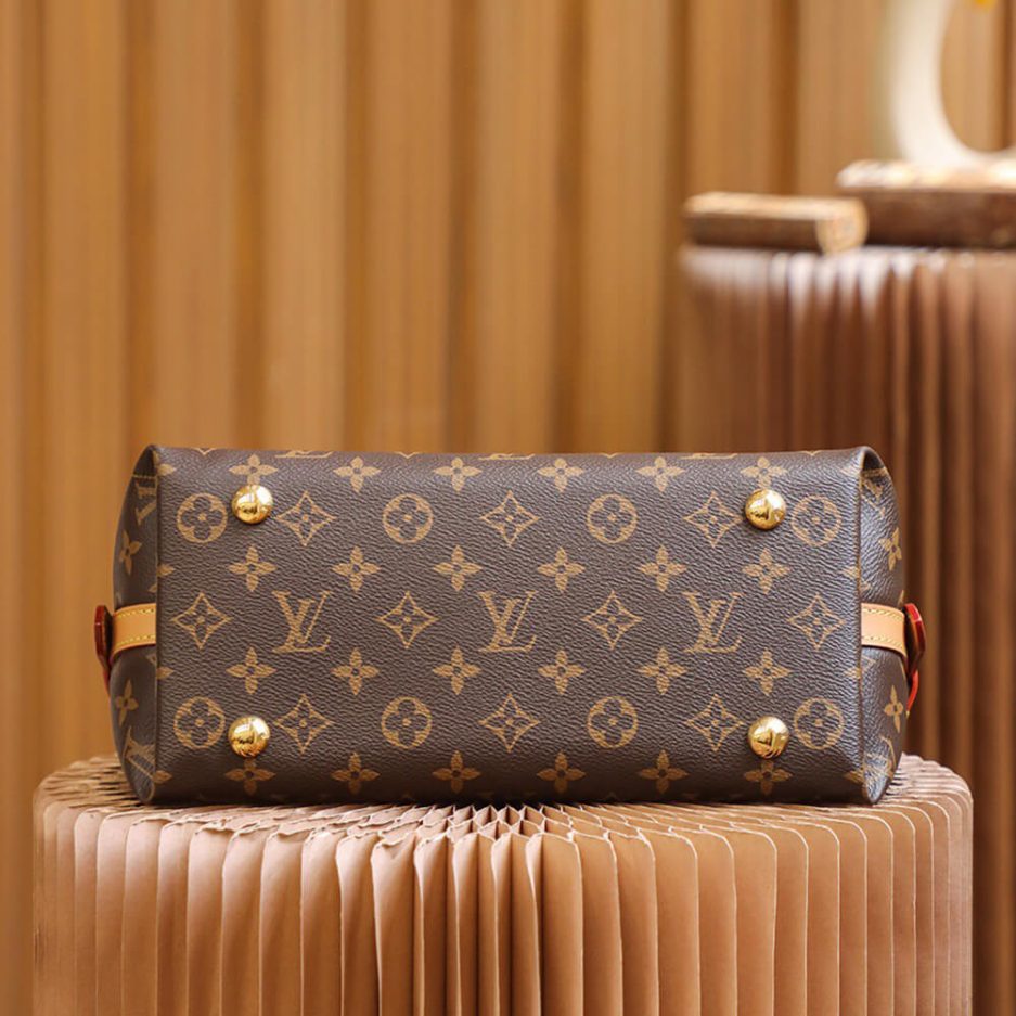 LV CarryAll PM - 图片 5