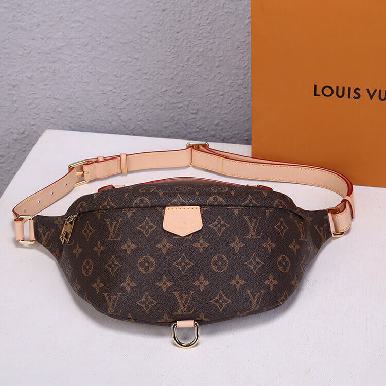 LV Bumbag - 图片 6