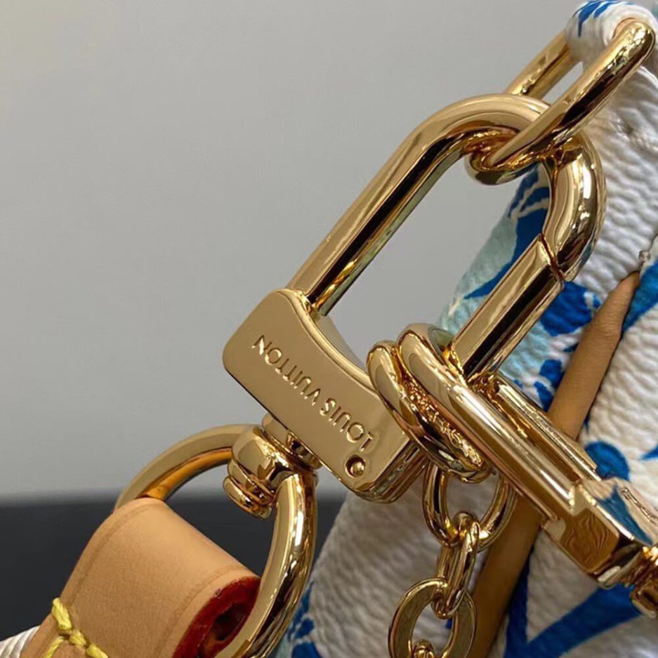 LV Multi Pochette Accessoires - 图片 6