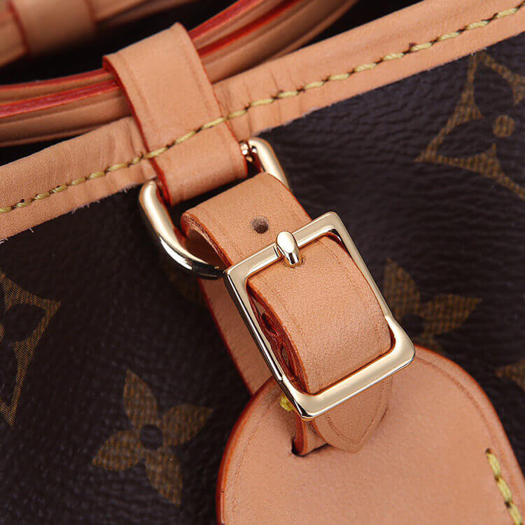 LV Noe Purse - 图片 6