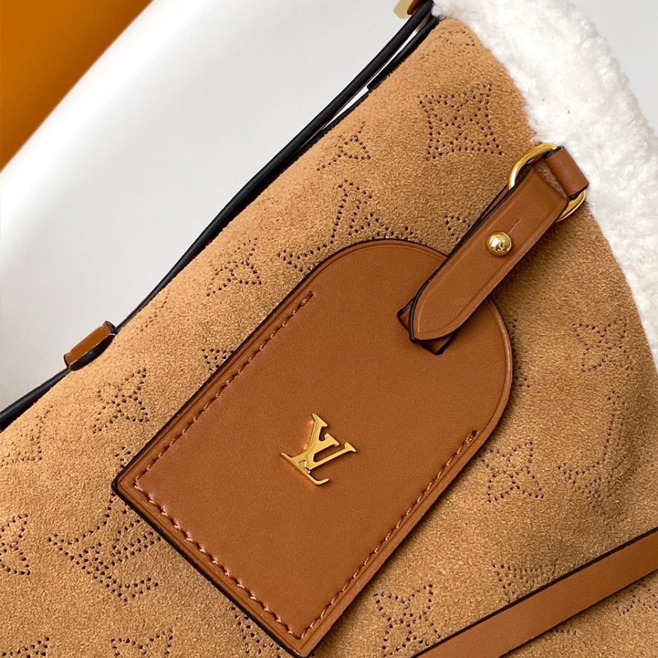LV CarryAll PM - 图片 6