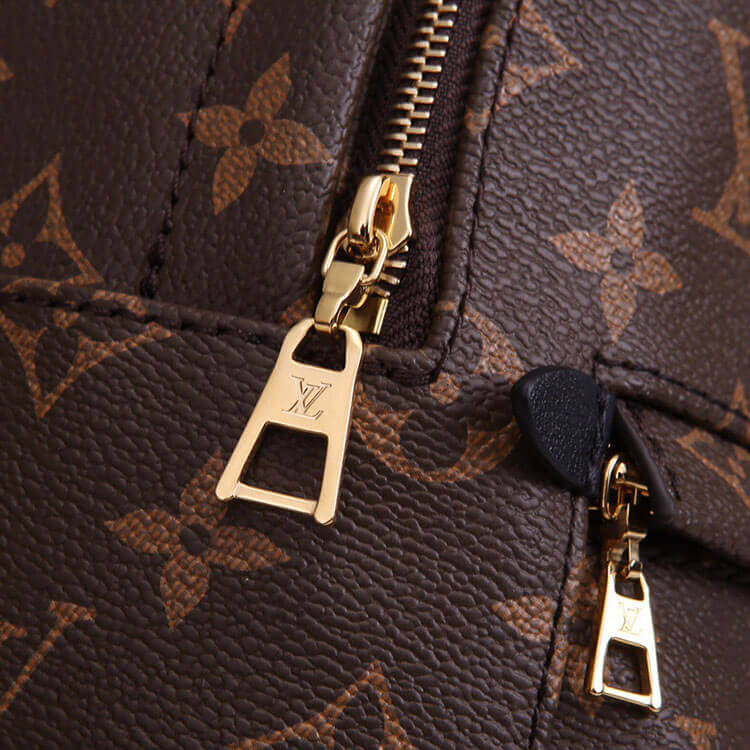 LV Palm Springs Mini Backpack - 图片 6
