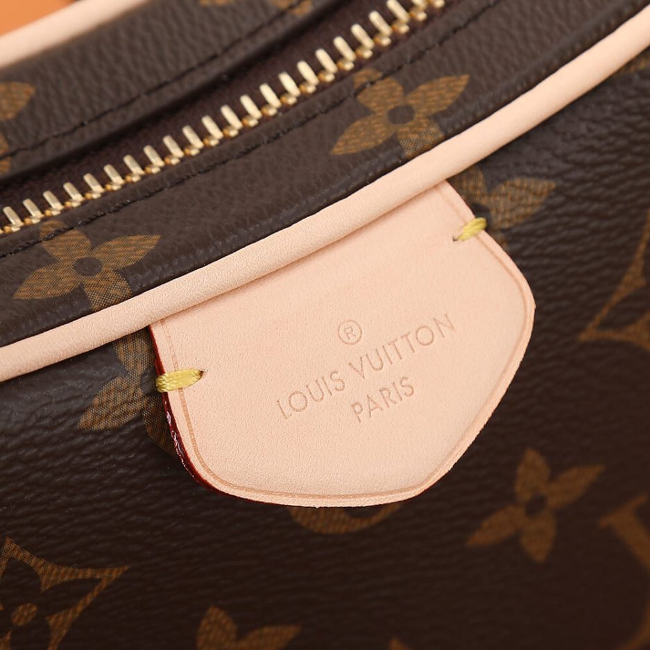 LV Croissant MM - 图片 6