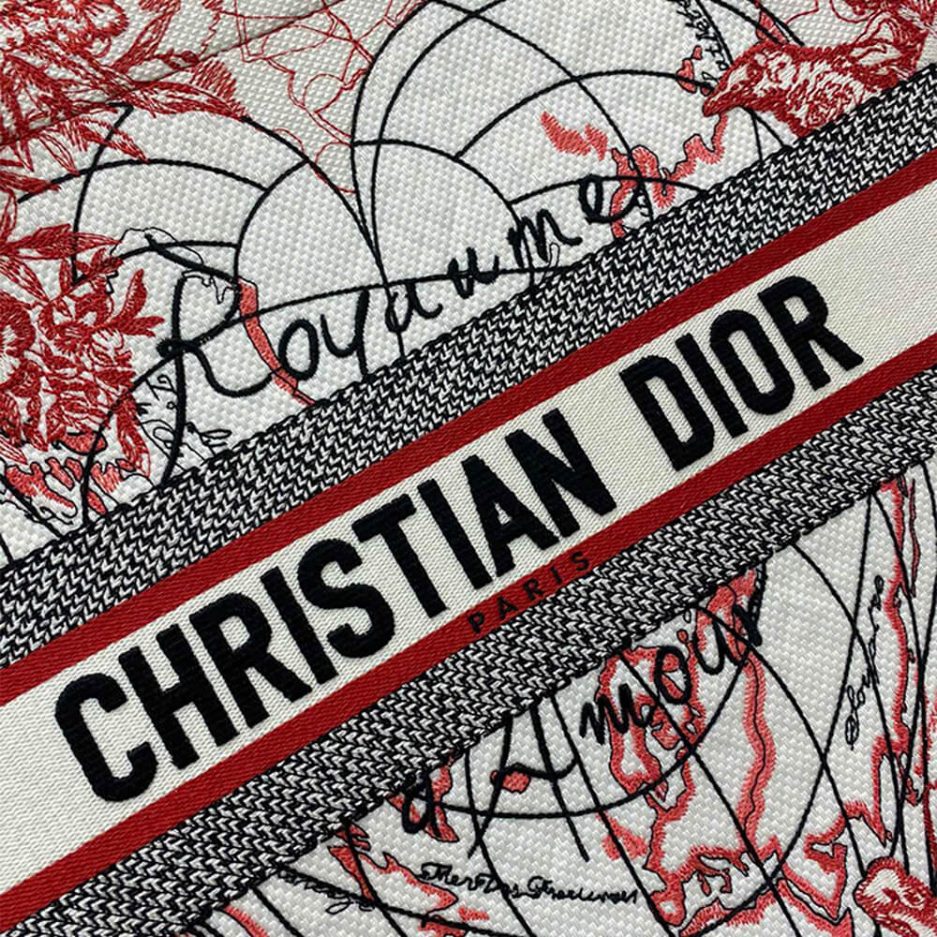 DIORAMOUR DIOR BOOK TOTE - 图片 6