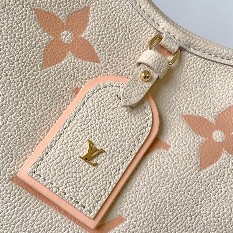 LV CarryAll PM - 图片 6