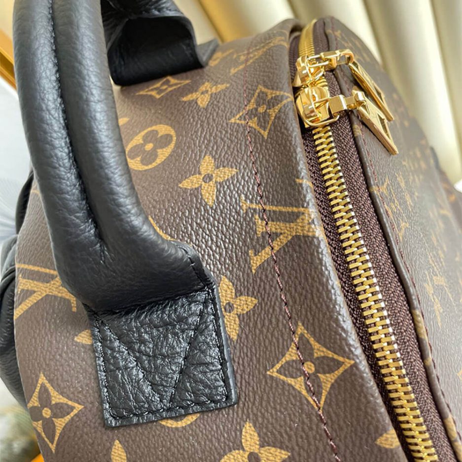 Louis Vuitton PALM SPRINGS MM - 图片 6