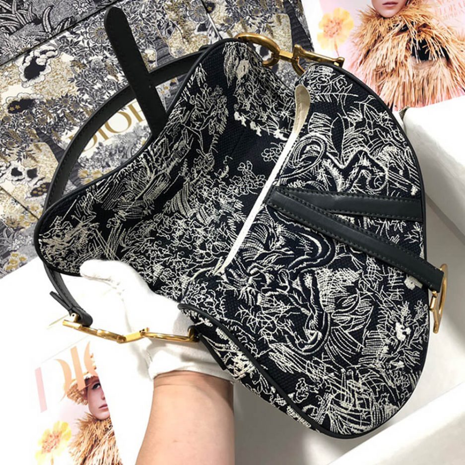 Dior SADDLE BAG - 图片 6