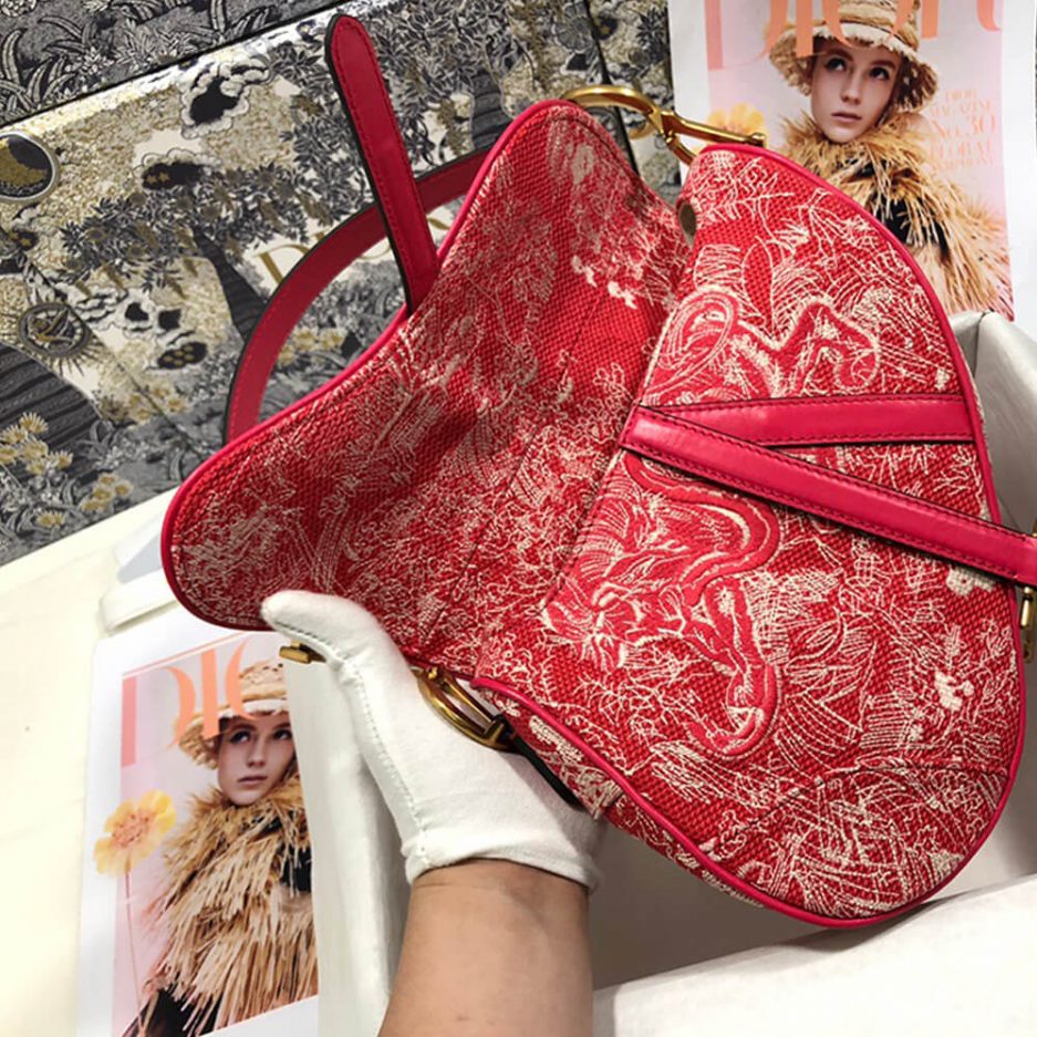 Dior SADDLE BAG - 图片 6
