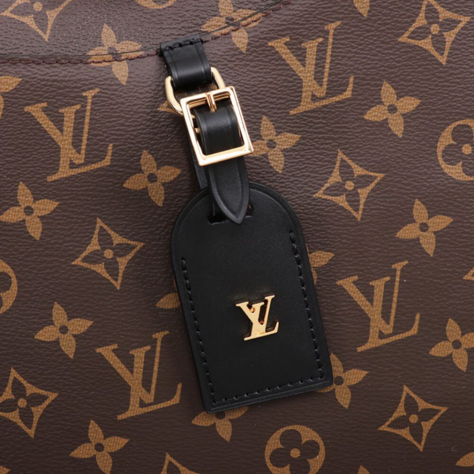 LV ODEON MM - 图片 6