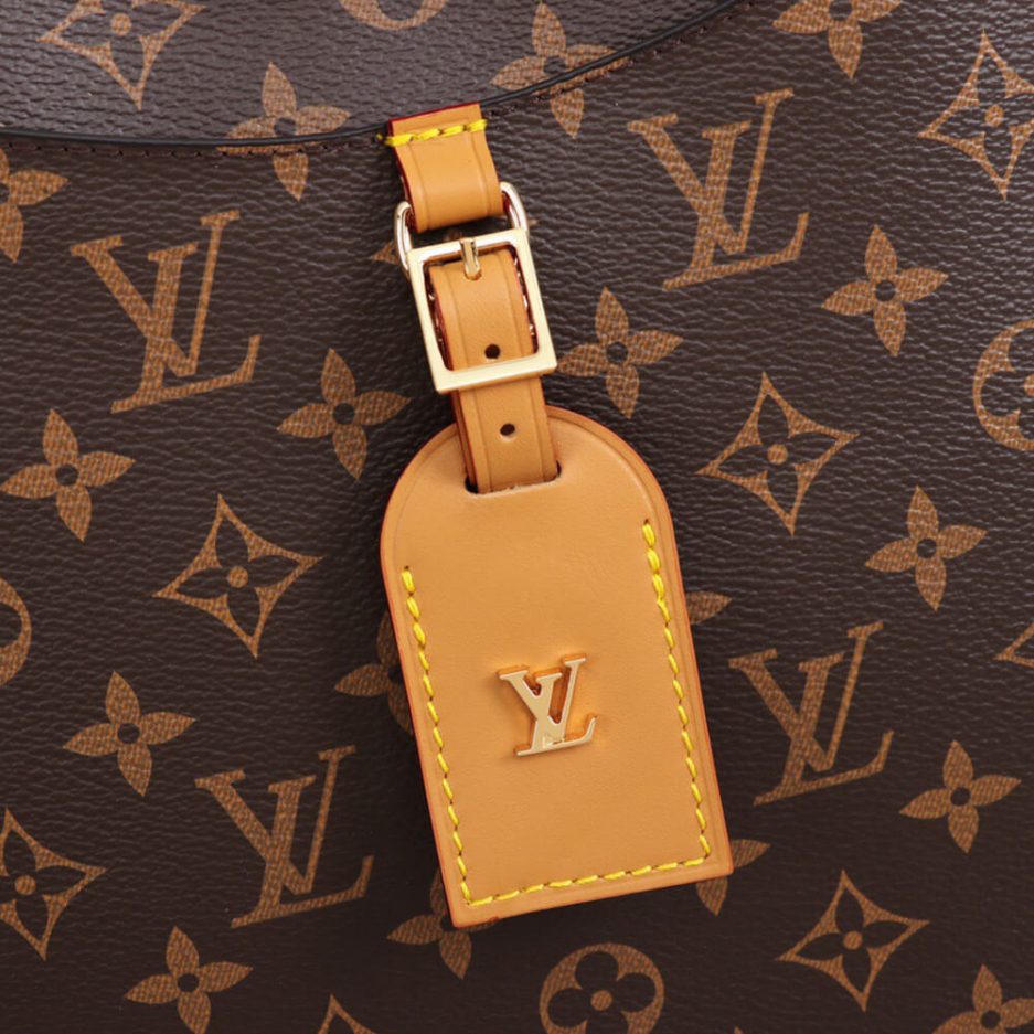 LV ODEON MM - 图片 6