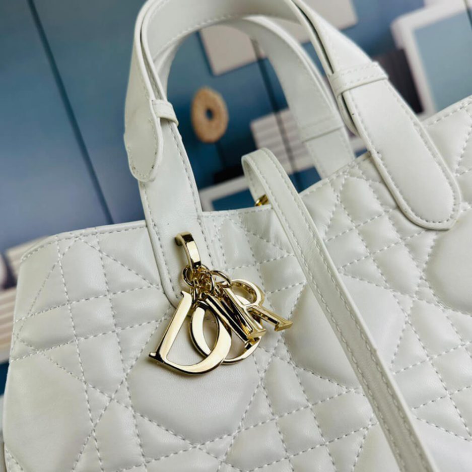 MEDIUM DIOR TOUJOURS BAG - 图片 6