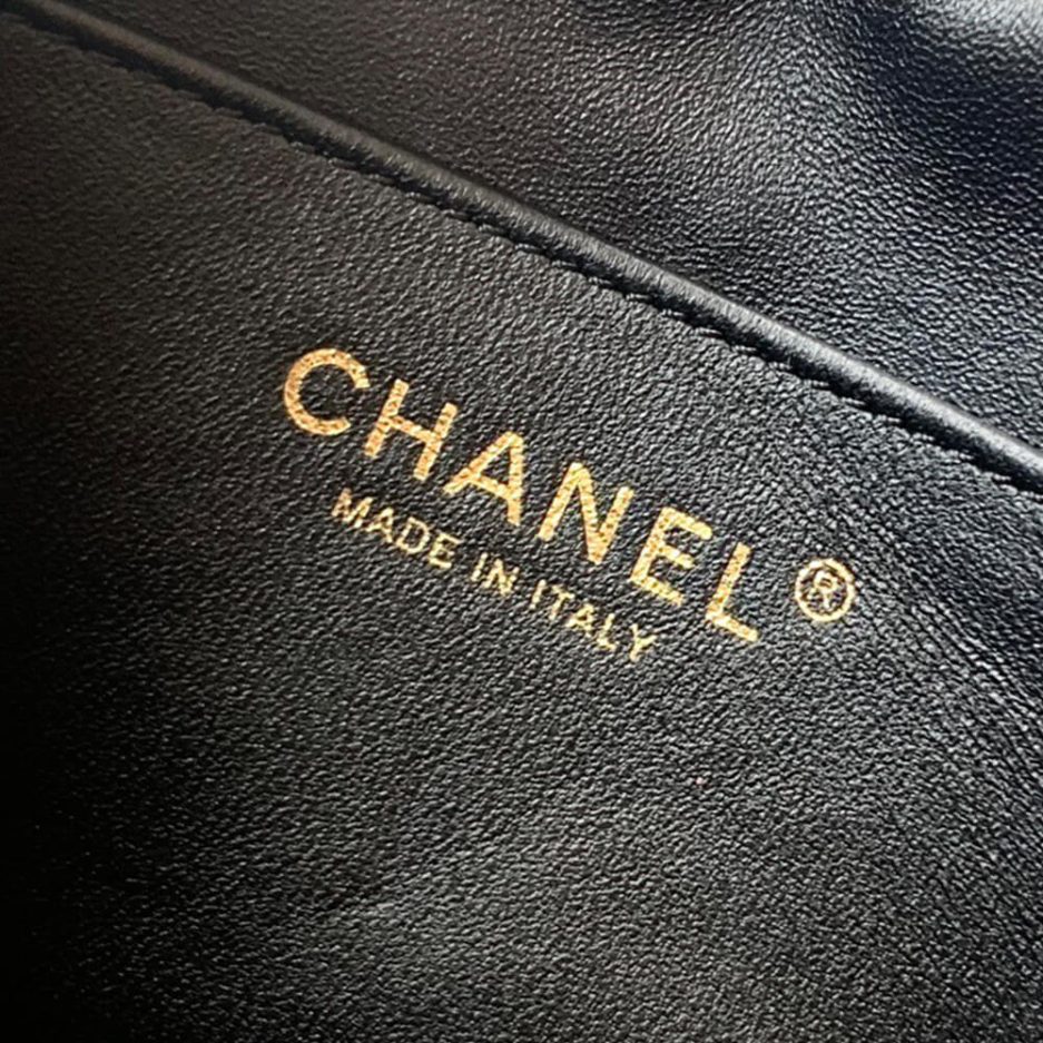 CHANEL Mini Camera Case(high-end grade) - 图片 7