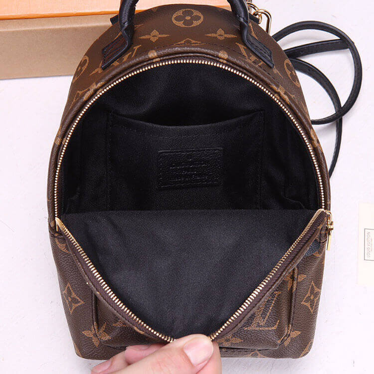 LV Palm Springs Mini Backpack - 图片 7