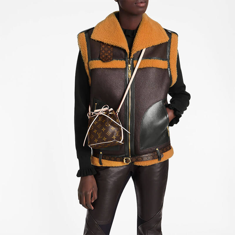 LV Nano Noe Bag - 图片 7