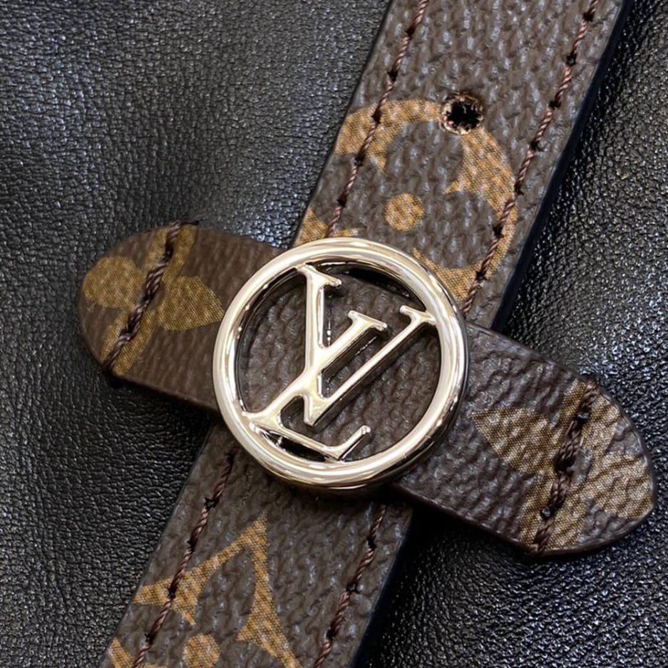 LV CarryAll MM - 图片 7