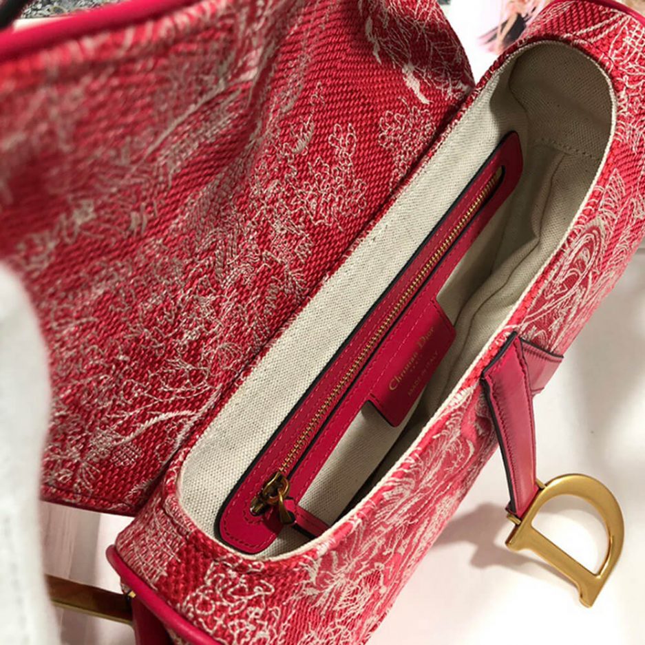 Dior SADDLE BAG - 图片 8