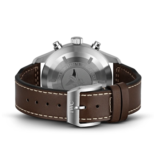 IW377714 PILOT??S WATCH (MARK XVIII EDITION ??LE PETIT PRINCE??) - 图片 4