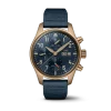 IWC pilot series IW388109 watch